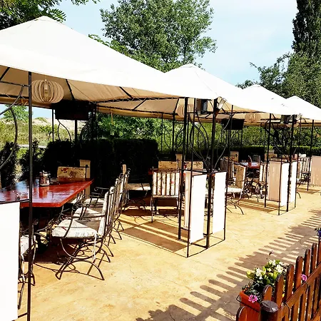 Delfin מלון סאני ביץ'