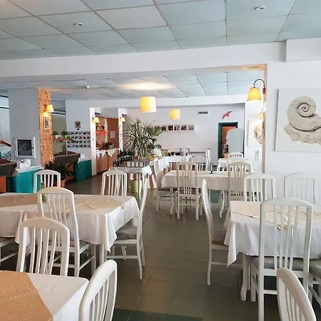 Delfin 3* סאני ביץ'