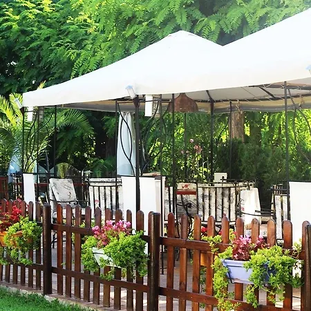 Delfin - Hotel Sunny Beach