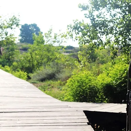 Hotel Delfin - Sunny Beach