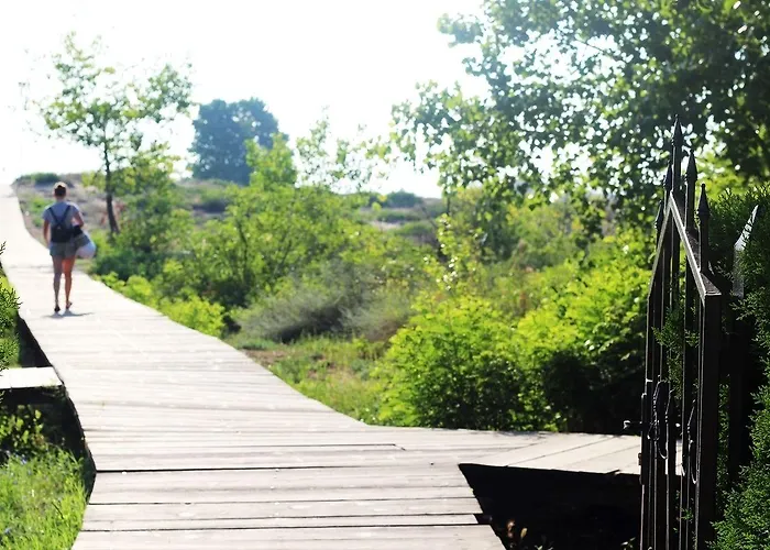 Готель Delfin Несебир